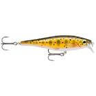 RAPALA BX MINNOW 10cm 12g