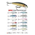 RAPALA X-RAP MAGNUM CAST 10CM 42G HDRHU