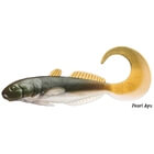 CORMORAN CURLY GOBY 7cm 4pcs