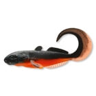 CORMORAN CURLY GOBY 9cm 3pcs