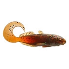 CORMORAN CURLY GOBY 9cm 3pcs