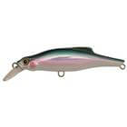 JACKSON PINTAIL 35 sinking 9cm 35g