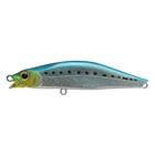 JACKSON MINATO NO JAMES 85 20g sinking