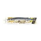 DUO TIDE MINNOW SLIM 175SP 175MM 27.6G
