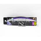 DUO SPEARHEAD RYUKI 110S SW 21G