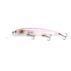 IMAKATSU DARDO 100SP 8.8g