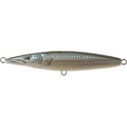 XORUS ASTURIE 150 14.2cm 31.6g