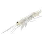MAGBITE SNATCHBITE SHRIMP 4inch 4pcs