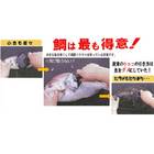 SUN TACKLE UROKOTORU SCALE REMOVER