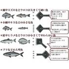 SUN TACKLE UROKOTORU SCALE REMOVER