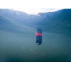 KORUM FLOATING FEEDER