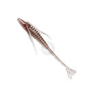 SEASPIN SHRIMP