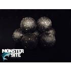 MONSTER BITE 2PAIR 20mm 5kg