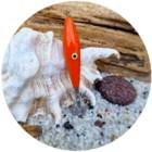 MATAKI MATAFLOTTY SQUID