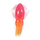 NESA LURES CUTTLE