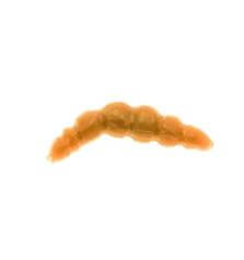 LABORATORIO BIOILLOGICA LARVA 4.5cm