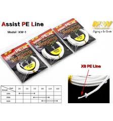 JLC PE ASSIST LINE 200LB