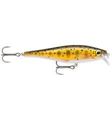 RAPALA BX MINNOW 10cm 12g