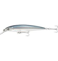 RAPALA X-RAP SALTWATER SXR 10CM #BAITFISH