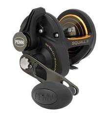 PENN SQUALL II 25NLD