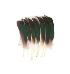 BAETIS MCGINTY QUILL