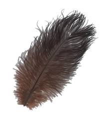 BAETIS OSTRICH MINI PLUMES BROWN