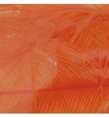 BAETIS OSTRICH HERL #ORANGE