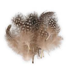 BAETIS GUINEAFOWL FEATHERS #NATURAL
