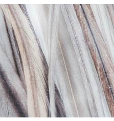 BAETIS SADDLE Medim grey dun