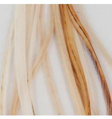 BAETIS SADDLE Light Ginger