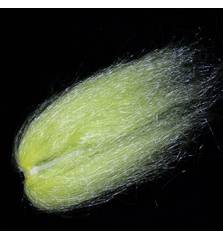 KNAPEK GHOST HAIR YELLOW