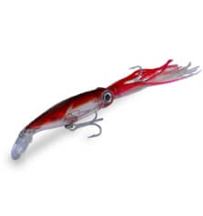 DTD SQUID