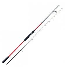CASTED TATAKI IKA SQUID 2.02M 50-150G