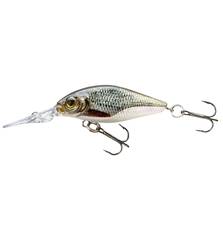 CORMORAN BELLY DIVER MINI F. 3.8cm 3g ROACH