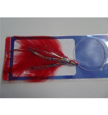 TUBERTINI SQUID