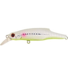 JACKSON PINTAIL 35 sinking 9cm 35g