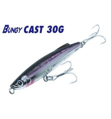 BASSDAY BUNGY CAST 100mm 30g