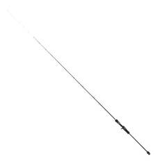 TAILWALK METALZON boat squid SSD C66M/SL 20-100g PE0.8