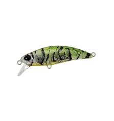 DUO TETRA WORKS TOTO 48HS 4.3g