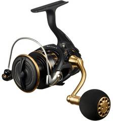 DAIWA 23 BG SW 4000-CXH