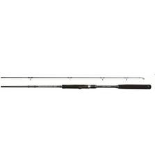 PRO TRUST BAY SLUGGER R1002MH SHORE JIGGING 3.05m max80g PE 1.5-3