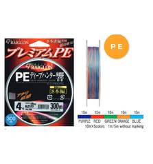 RAIGLON PE DEEP HUNTER HIBIKI 12X100m connected spools