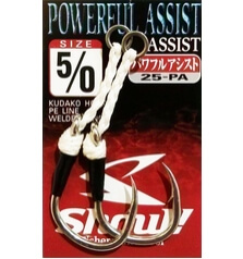 SHOUT POWERFUL ASSIST