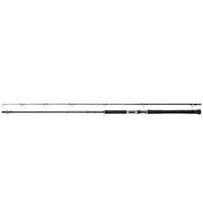 ARES BLUE PORTER SHORE JIGGING 9.6M, 2.89m, jig max 60g, max PE3