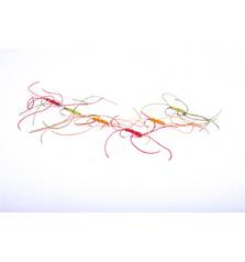 DRAGON CRAIGS WORMS