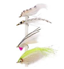 SNOWBEE BAIT FISH SPECIAL
