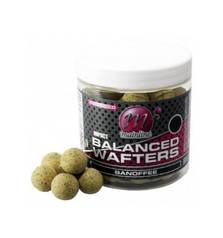 MAINLINE IMPACT BALANCED WAFTERS 18mm BANOFFEE
