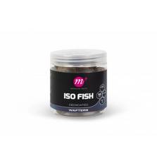 MAINLINE ISO FISH WAFTERS 18mm