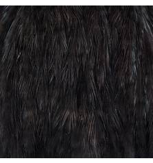EWING HEN CAPE HACKLE #BLACK
