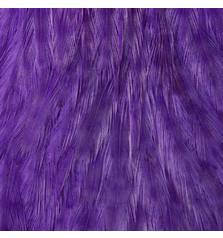EWING HEN CAPE HACKLE #PURPLE